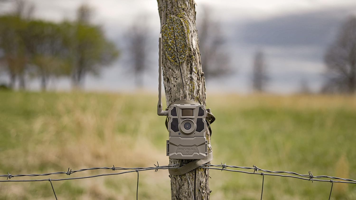Tactacam Trail Camera Comparison